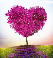 Arbre en coeur