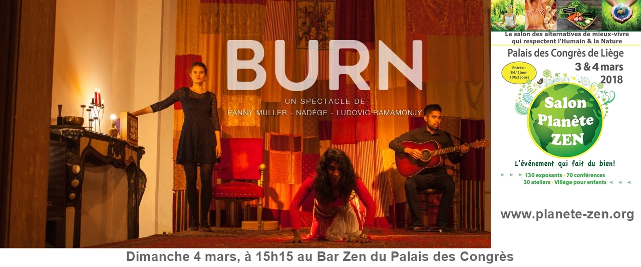 Burn a palnete zen