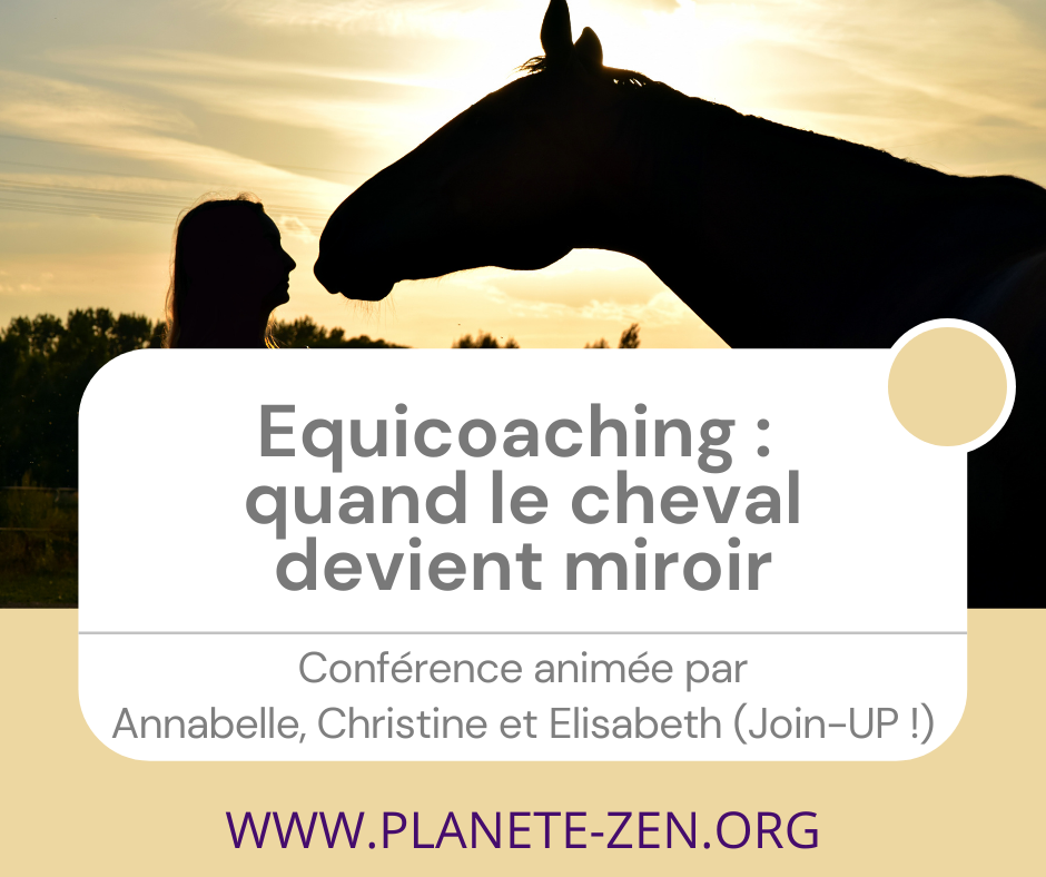 Equicoaching quand le cheval devient miroir