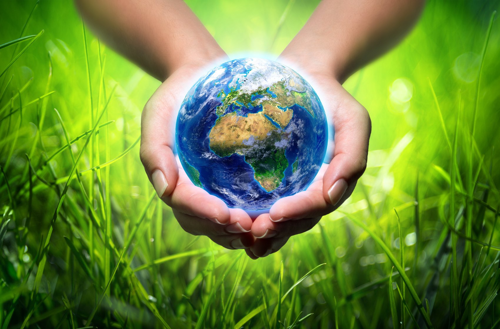 Fotolia 63299911 m 1