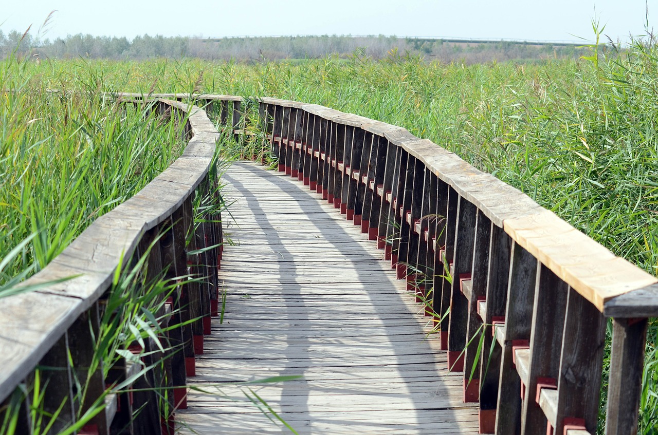 Passerelle